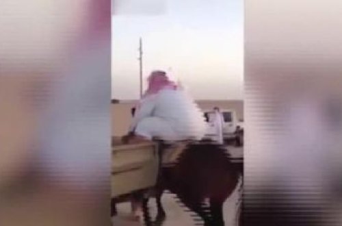 O qədər kökdür ki, atın beli qırılacaqdı...