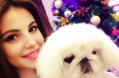 23 yaşlı tələbə Nigar bu səbəbdən intihar edib