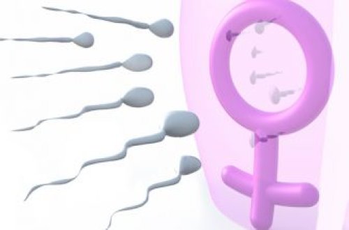 Mobil telefonları yan cibə qoyan kişilərə pis xəbər