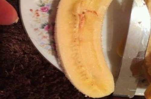 Bananlardakı qan ləkələri bakterial xəstəlik imiş - RƏSMİ