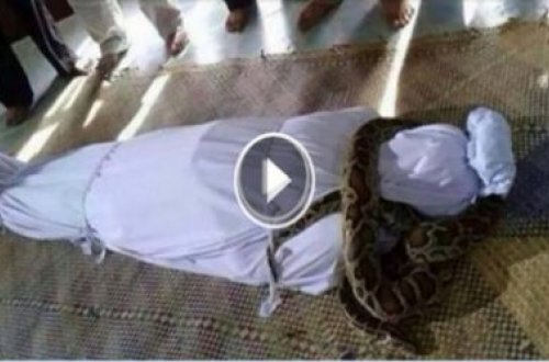 Bu videonu ölmədən izləyin!