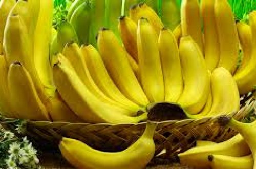 Bananlardakı xəstəlik şayiəsi ilə bağlı