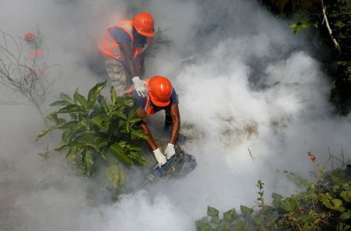 İki mindən çox hamilə kolumbiyalı qadın Zika virusuna yoluxub
