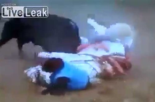 Dəhşət: Matadorlar buğa ilə əylənən zaman buğa atın qarnını yırtıb onu öldürdü