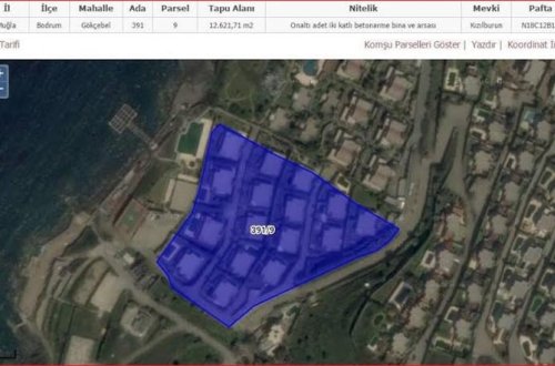 SOCAR-ın 16 villa alan rəis müavini haqda