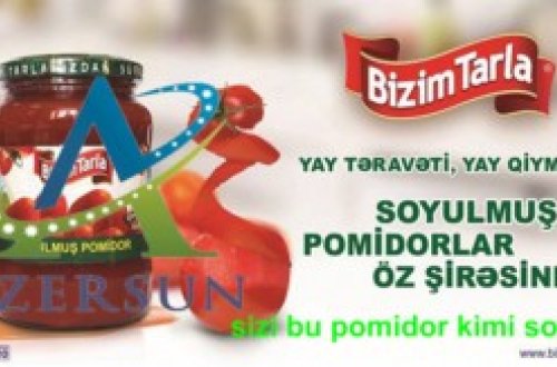 “Azərsun”-nun dövlətə xəyanəti ilə bağlı