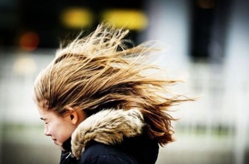 Azərbaycanda küləkli hava proqnozlaşdırılır