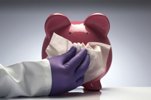 Ermənistanda “donuz qripi” tüğyan edir