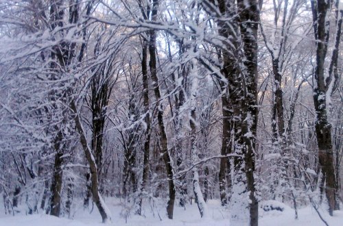 Azərbaycanın bəzi ərazilərində qar yağacaq