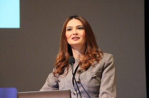 Millət vəkili bu gün MM-in iclasında dövlət və özəl qurumlara müraciətlər çıxış edib