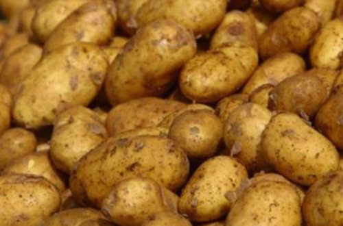 Gömrük Komitəsindən kartofla bağlı