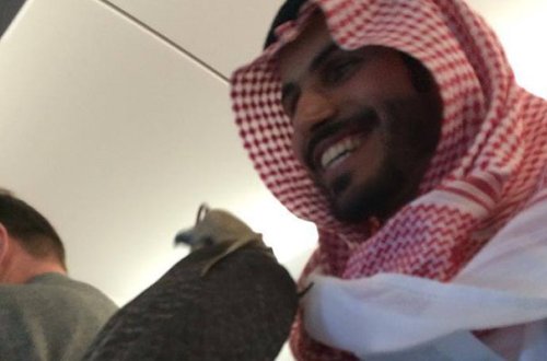 Ərəb şeyxləri yenidən Azərbaycana gəldi