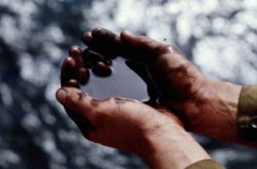 Neft bir az da ucuzlaşdı