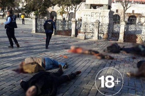 İstanbul terorunda ölənlərin cənazəsi Almaniyaya göndərildi