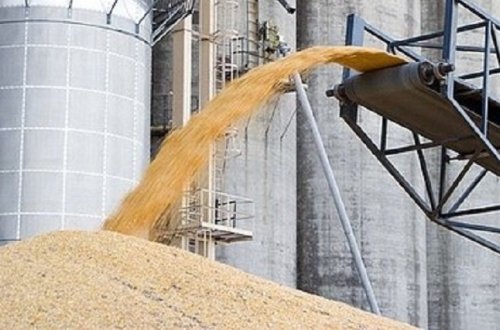 Azərbaycan özünü taxılla tam təmin edəcək