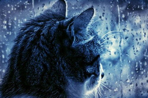 Bakıda yağış yağacaq