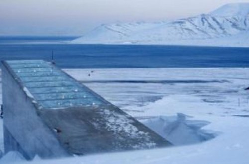 Dünyanın dağılacağını bildilər