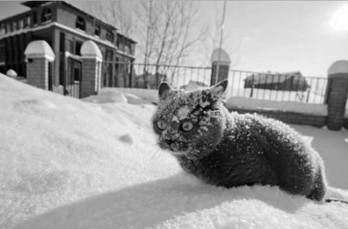 Sabahın hava proqnozu