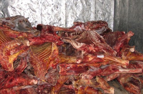 4 tona yaxın ət məhv olundu