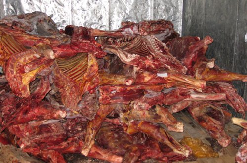 4 tona yaxın mənşəyi məlum olmayan ət aşkarlandı