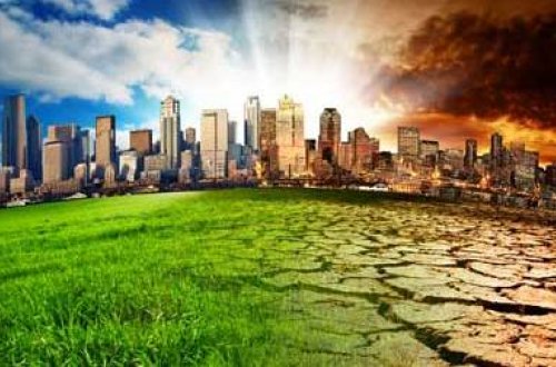 Ekologiyanı pozanlar 61 min cərimələndi