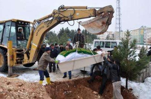 300 kiloluq cəsədi traktorla basdırdılar