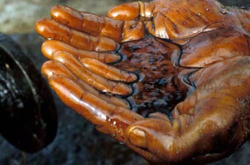 Neft 34 dollara düşdü - Son 11 ilin minimumu