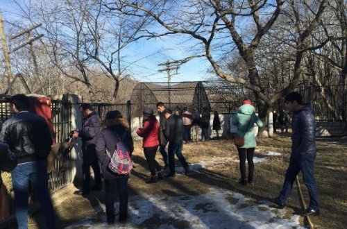 Altıağac milli parkına “eko-tur” təşkil edilib LAYİHƏ