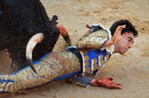 Matadorlar qana qərq oldular