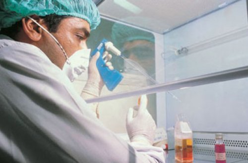 Türkiyədə 2 nəfərin “donuz qripi”ndən öldüyü təsdiqləndi