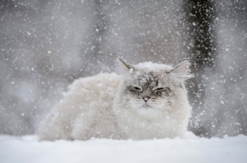 Sabah hava necə olacaq?
