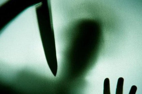 Qayınanasına 15 bıçaq vurdu