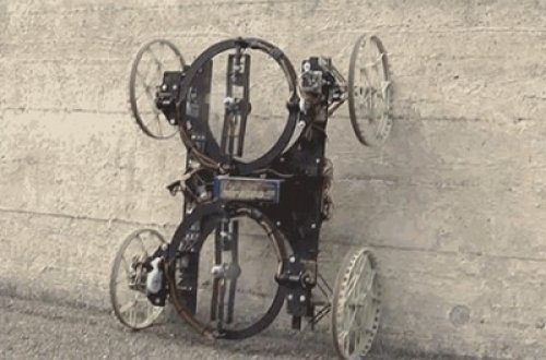 Divara çıxmağı bacaran robot yaradıldı