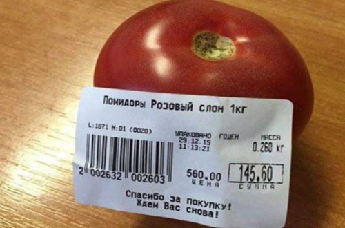 Ruslar pomidoru artıq dənə ilə yeyirlər