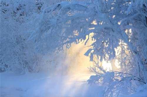 Bu günün hava proqnozu