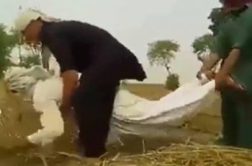 Bu video sosial şəbəkələri bir-birinə qatıb