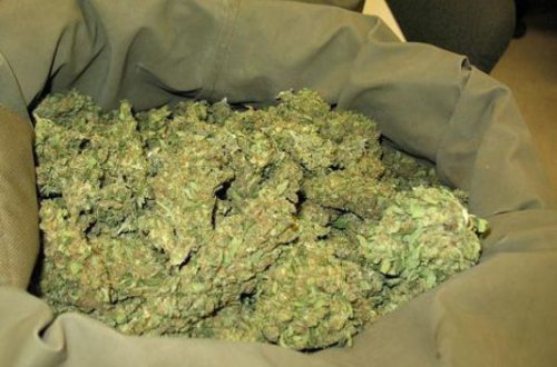 6 kq-dan çox marixuananı satarkən tutuldu