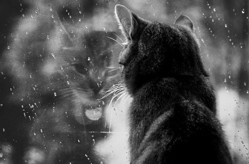 Azərbaycanda hava çiskinli olacaq