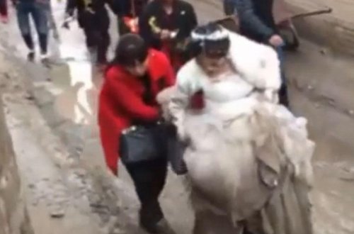 Toy gəlin üçün əzaba döndü