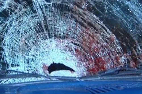 Sərxoş sürücü ata və oğlunu öldürdü