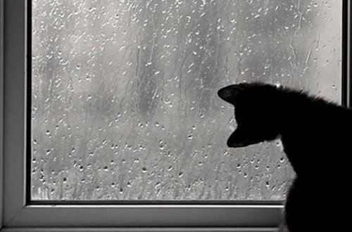 Sabah yağış yağacaq