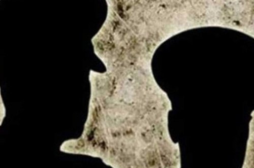 Türkiyə müdafiə nazirinin köməkçisi ölkədən qaçdı