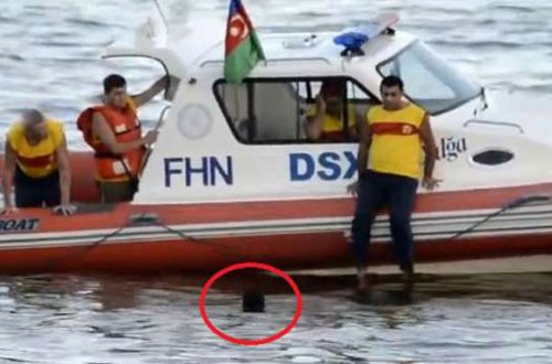 Özünü dənizə atdı