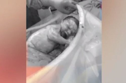 Dünya anasının qarnından özü çıxan bu körpədən danışır