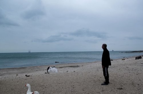 `Bəlkə də Xəzərdə Su pərisi var...`