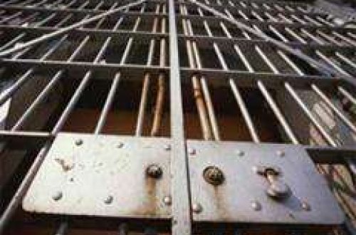 Aralarında qadınların da olduğu cinayətkar dəstə tutuldu