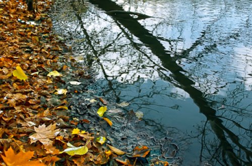 Bakıda və Abşeron yarımadasında külək axşama doğru mülayimləşəcək