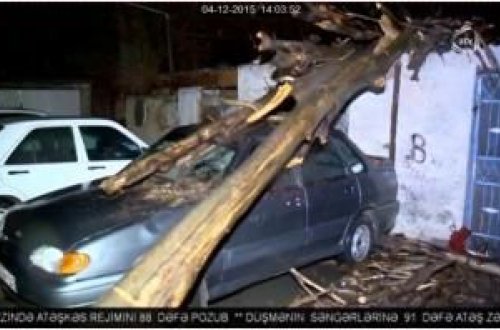 Güclü küləyin və yağışın fəsadları