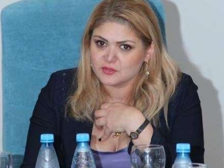 “Naqif Həmzəyev Məmməd Əmin Rəsulzadəni təhqir etməyib”