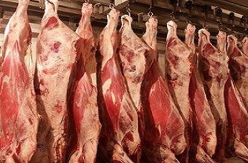 Azərbaycanda 25 ton yararsız ət aşkarlandı